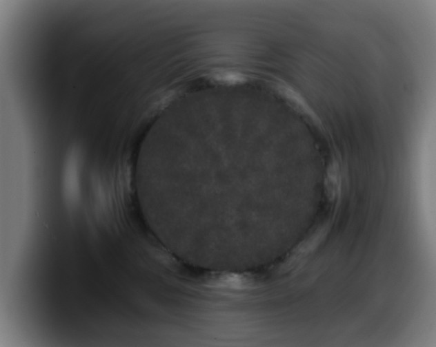 X0000099940330200805301222