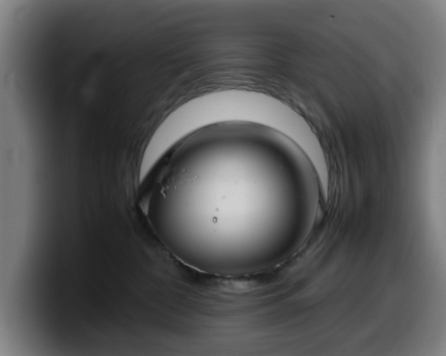 X0000099940332200805301222