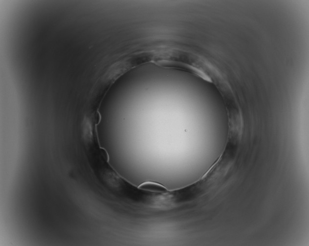 X0000099940333200805301222