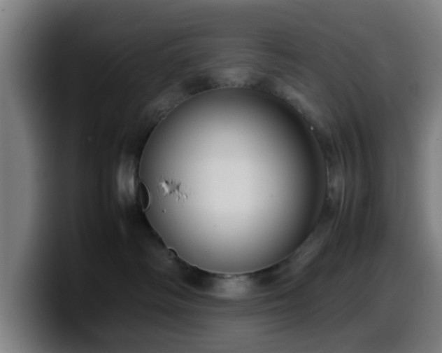 X0000099940334200805301222