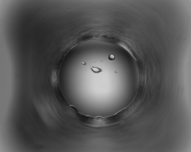 X0000099940335200805301222