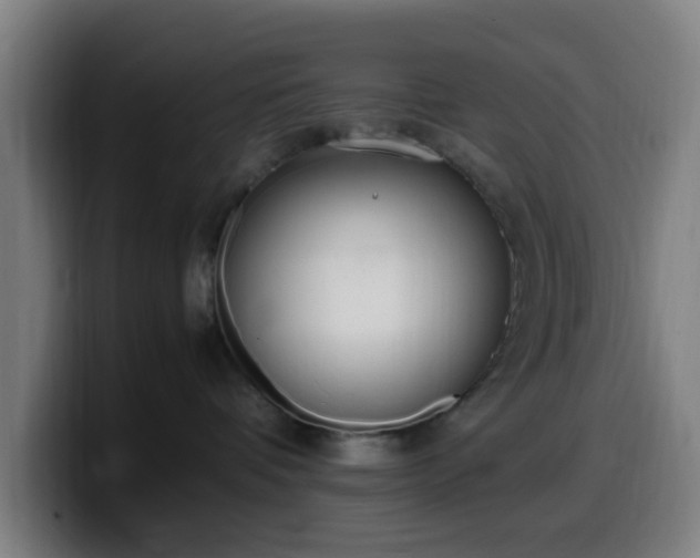 X0000099940336200805301222
