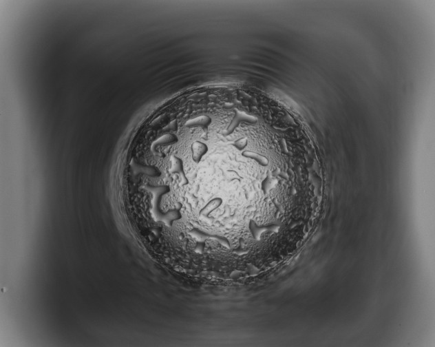X0000099940337200805301221
