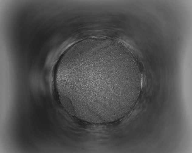 X0000099940339200805301221