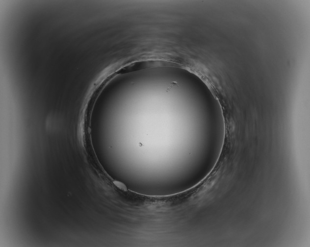 X0000099940340200805301221