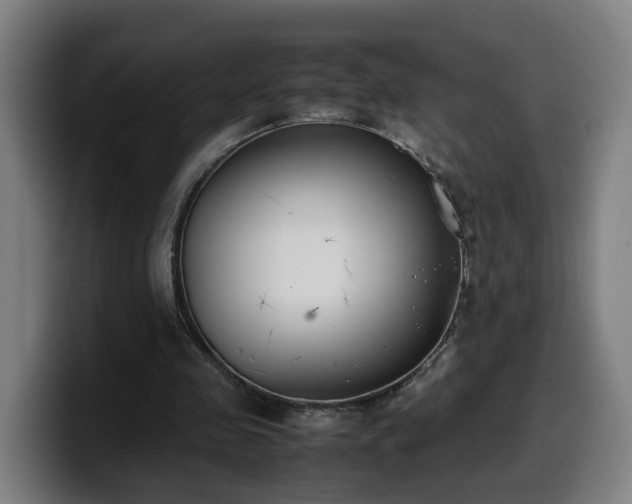 X0000099940341200805301221