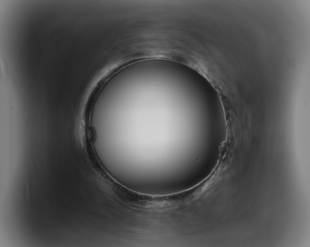 X0000099940342200805301221