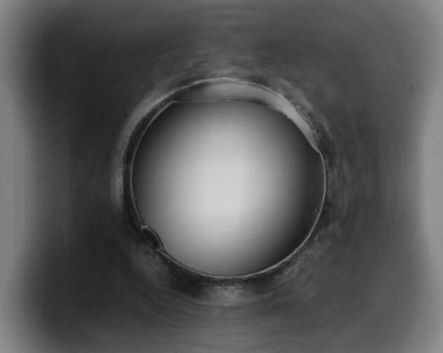 X0000099940344200805301221