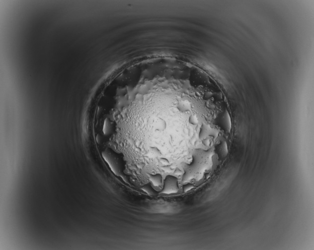 X0000099940347200805301221