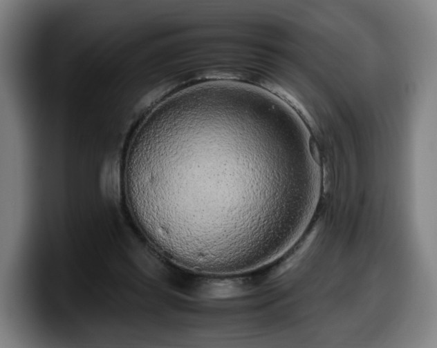 X0000099940349200805301221