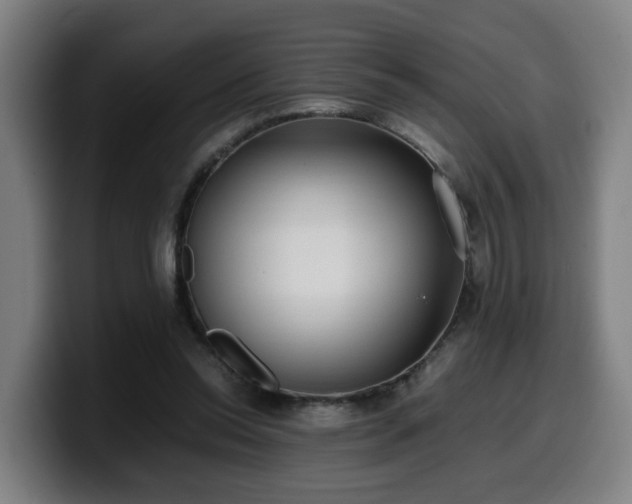 X0000099940350200805301221