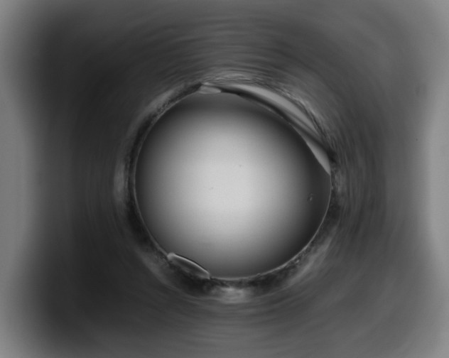 X0000099940352200805301221