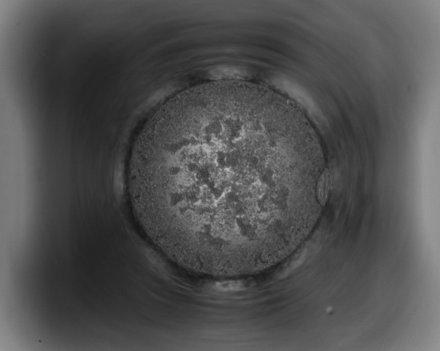 X0000099940353200805301221
