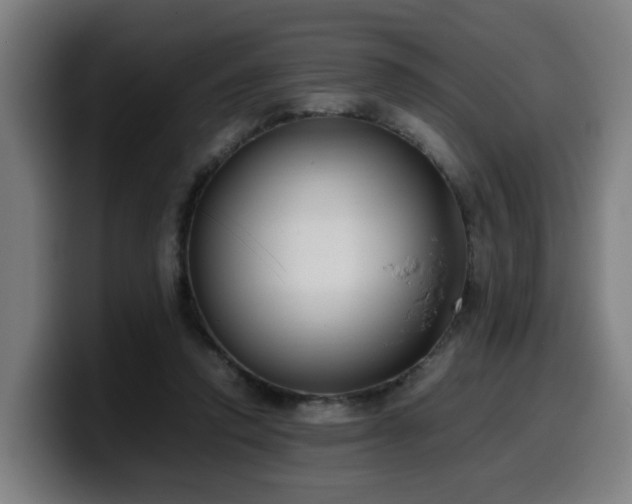 X0000099940354200805301221