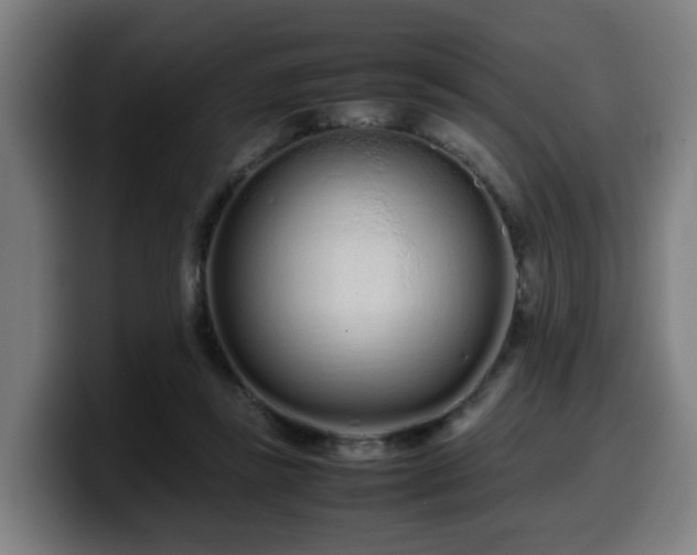 X0000099940355200805301221