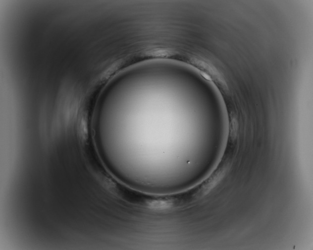 X0000099940358200805301221