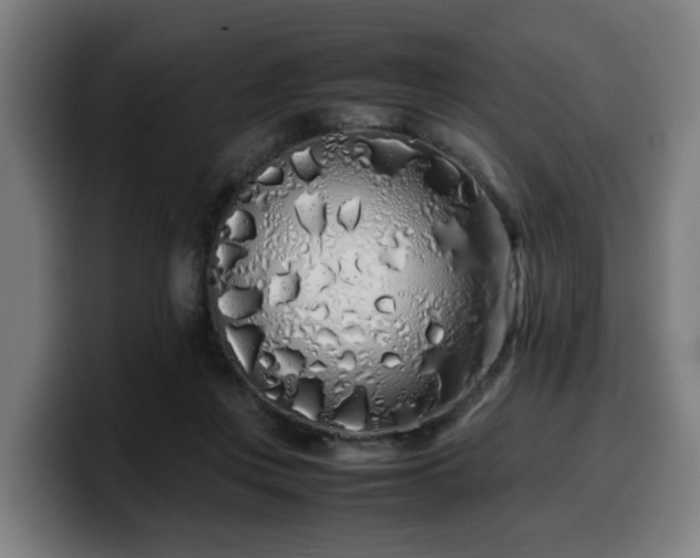 X0000099940359200805301221