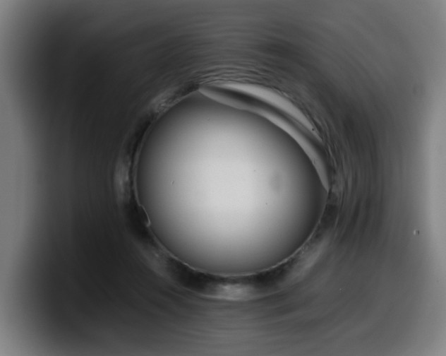 X0000099940360200805301221