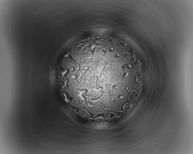 X0000099940361200805301221
