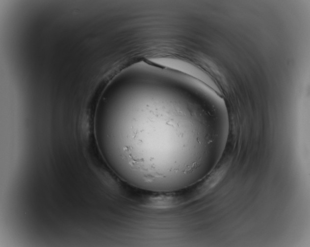 X0000099940362200805301221