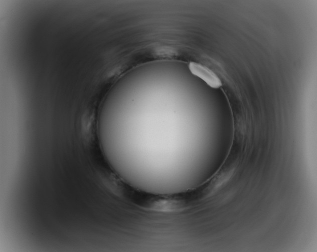 X0000099940364200805301221