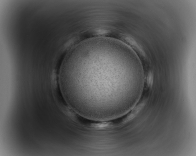 X0000099940366200805301222