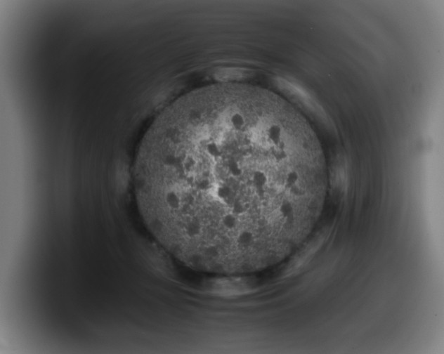 X0000099940367200805301222