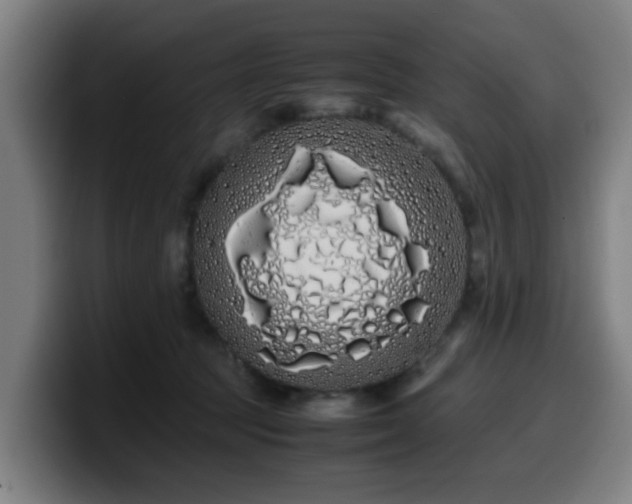 X0000099940369200805301222