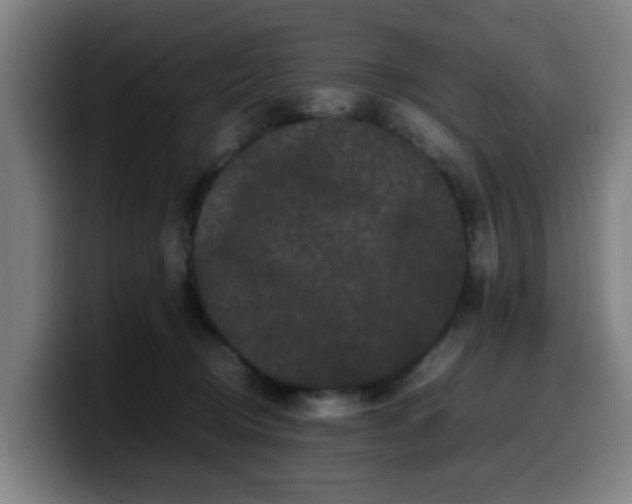 X0000099940370200805301222