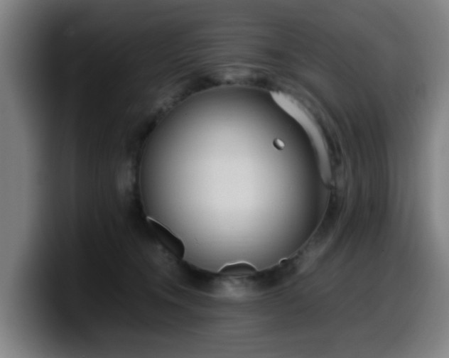 X0000099940372200805301222