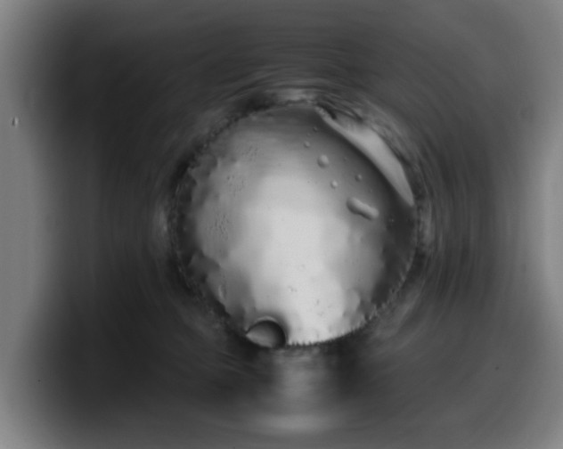 X0000099940373200805301222