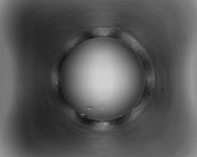 X0000099940374200805301222