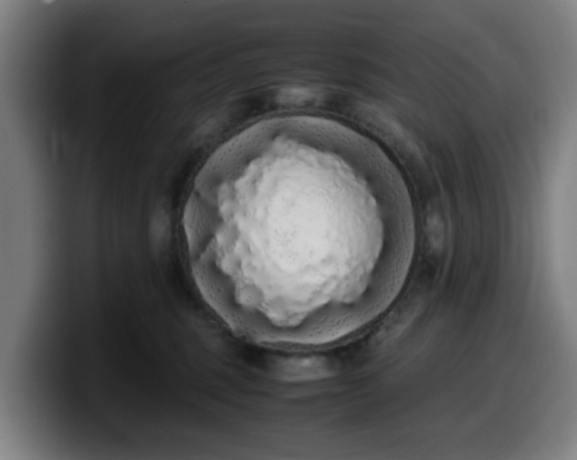 X0000099940375200805301222
