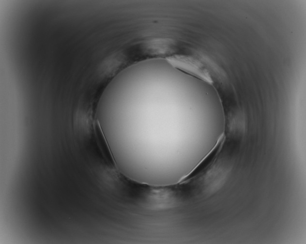 X0000099940376200805301222