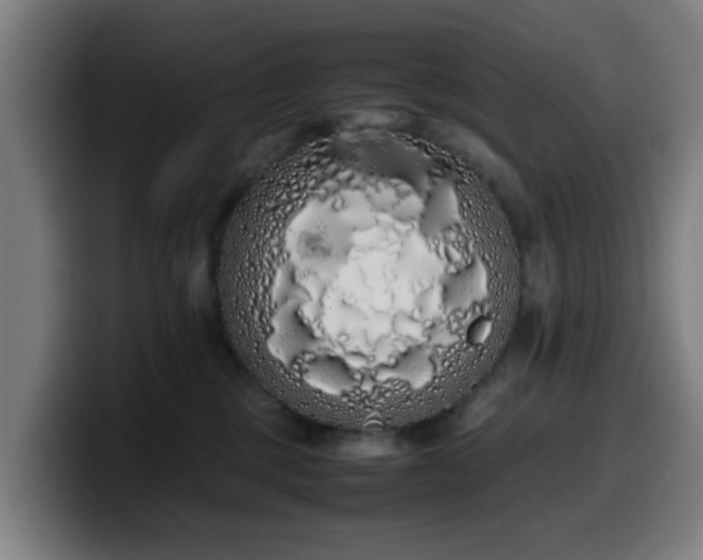 X0000099940377200805301222