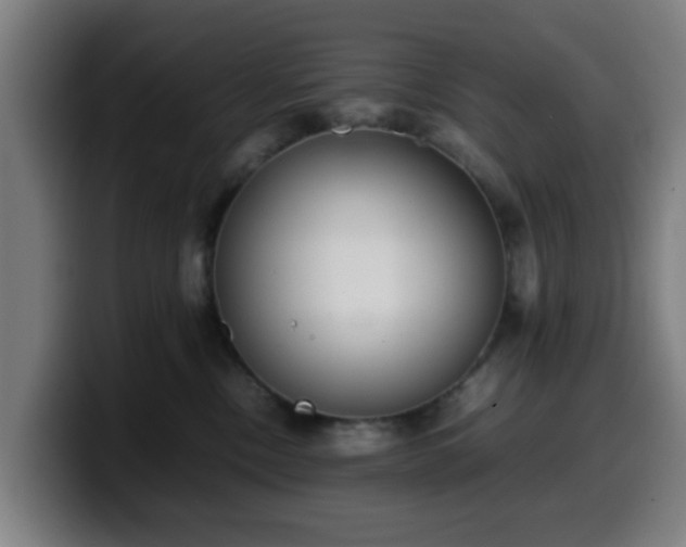 X0000099940378200805301222
