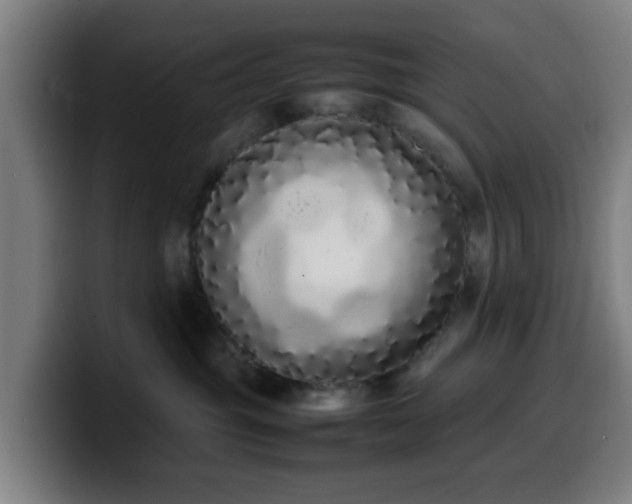X0000099940381200805301222