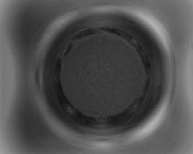 X0000099940382200805301222