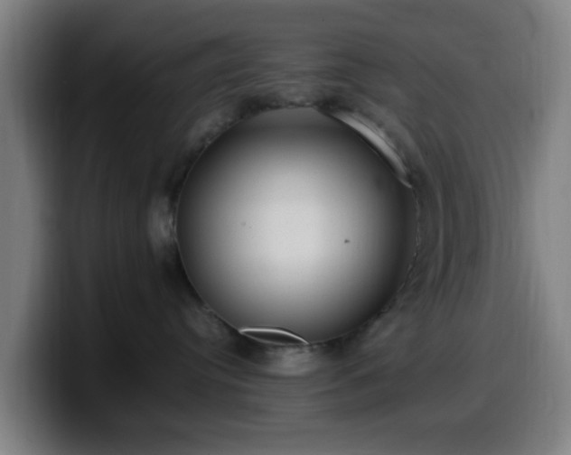 X0000099940384200805301222