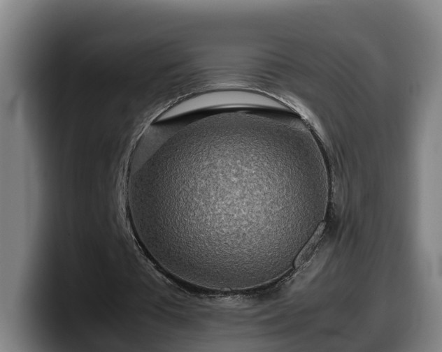 X0000099940385200805301221