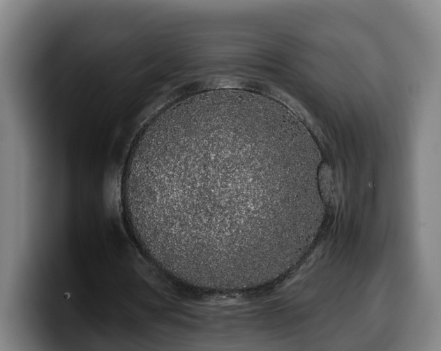 X0000099940386200805301221