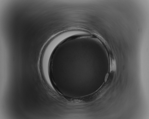 X0000099940387200805301221
