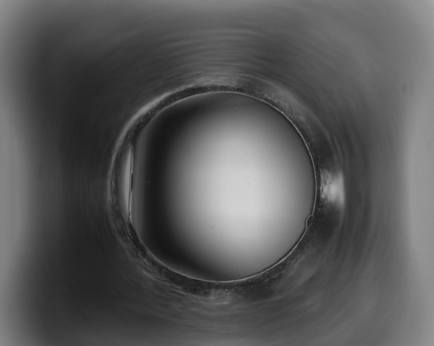 X0000099940388200805301221