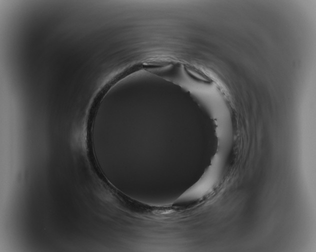 X0000099940391200805301221