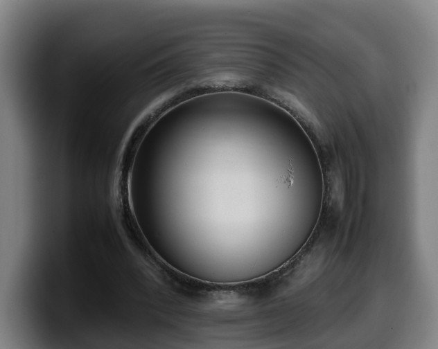 X0000099940392200805301221