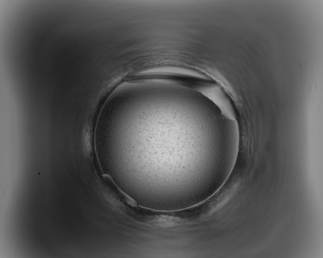 X0000099940393200805301221