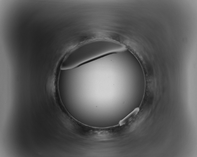 X0000099940395200805301221