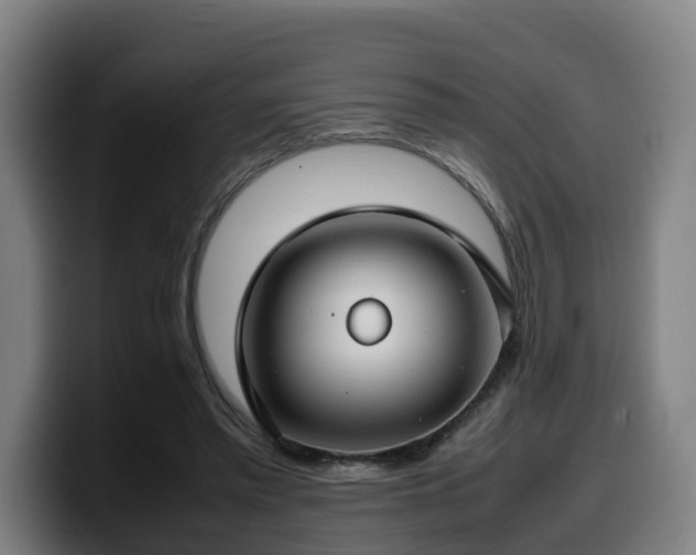 X0000099940397200805301221