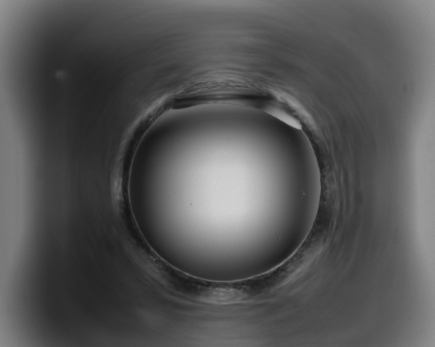 X0000099940399200805301221