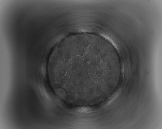 X0000099940402200805301221